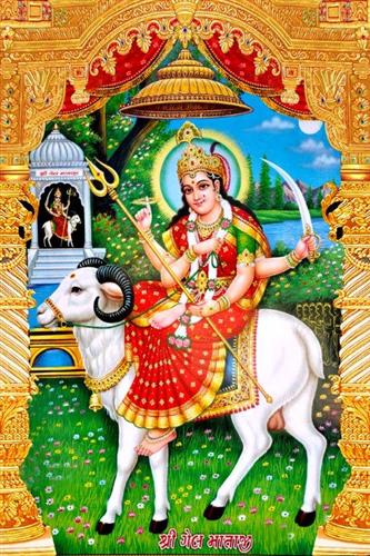 Gel maa Gel maa